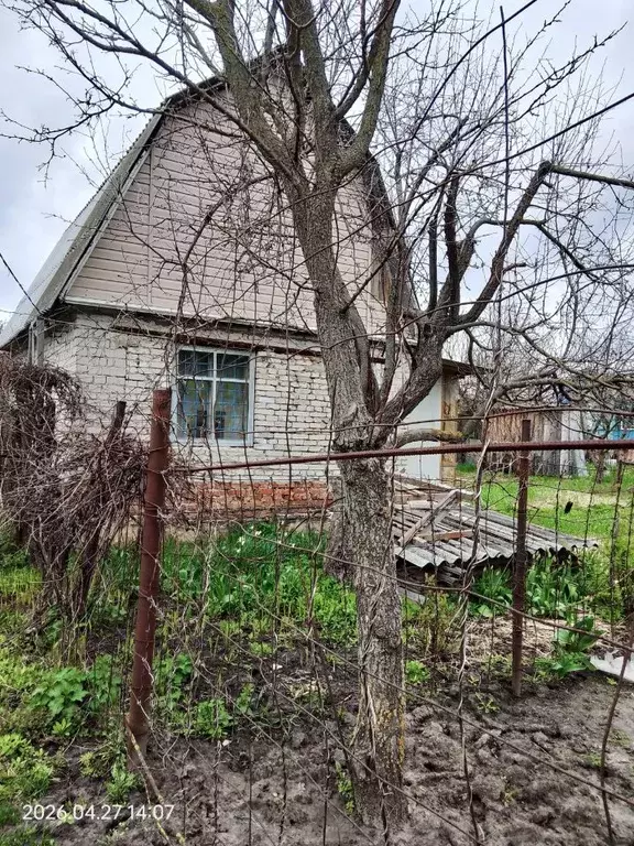 Дом в Тамбовская область, Тамбов Коммунальник СНТ,  (36 м) - Фото 1