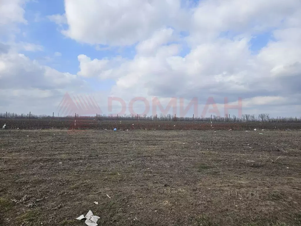 Участок в Ростовская область, Мясниковский район, Краснокрымское ... - Фото 2