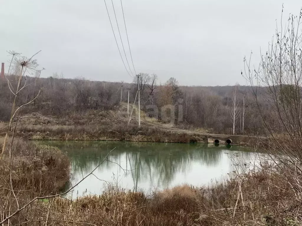 Участок в Мордовия, Саранск Пенсионер СТ,  (5.1 сот.) - Фото 1