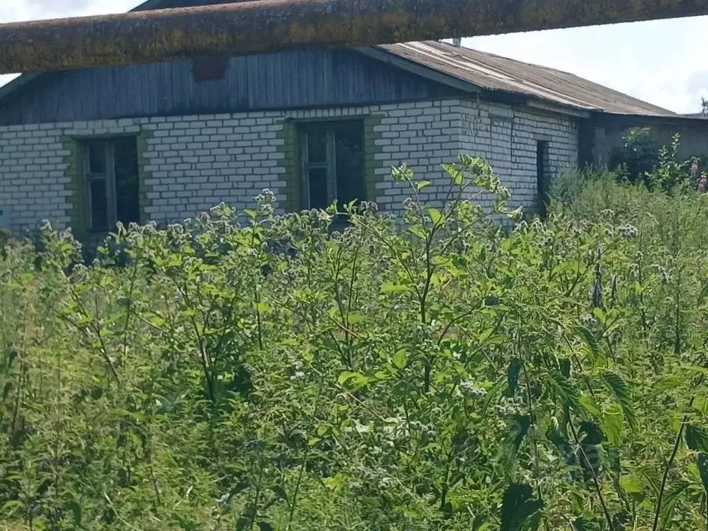 Помещение свободного назначения в Нижегородская область, Княгининский ... - Фото 0