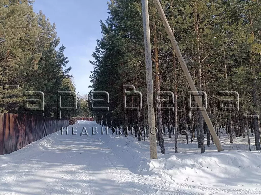 Участок в Красноярский край, Емельяновский муниципальный округ, ... - Фото 2