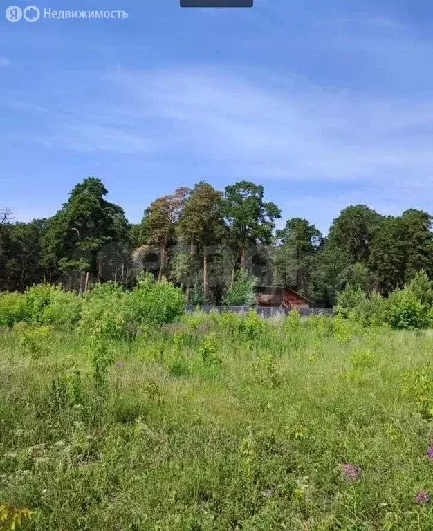 Участок в Чернолучье, Береговая улица (14.5 м) - Фото 1