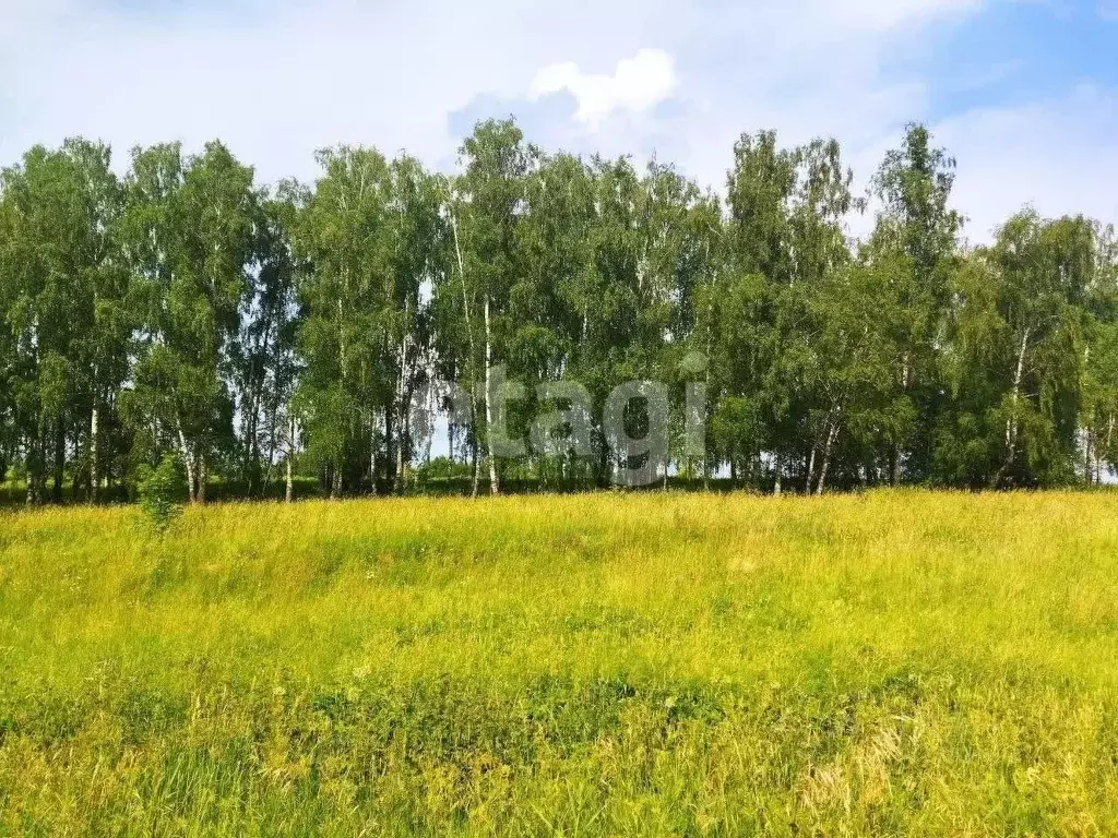 Участок в Тульская область, Суворовский район, Северо-Западное ... - Фото 0