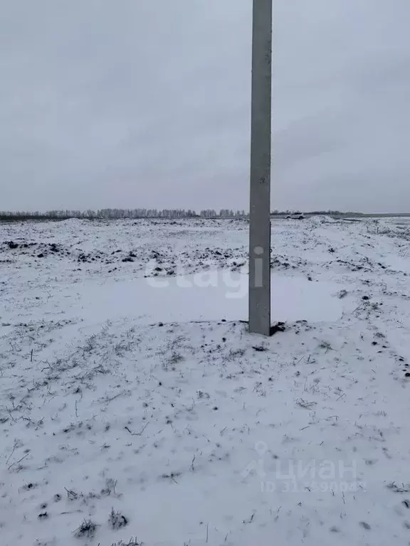 Участок в Белгородская область, Белгородский район, Головинское с/пос, ... - Фото 1