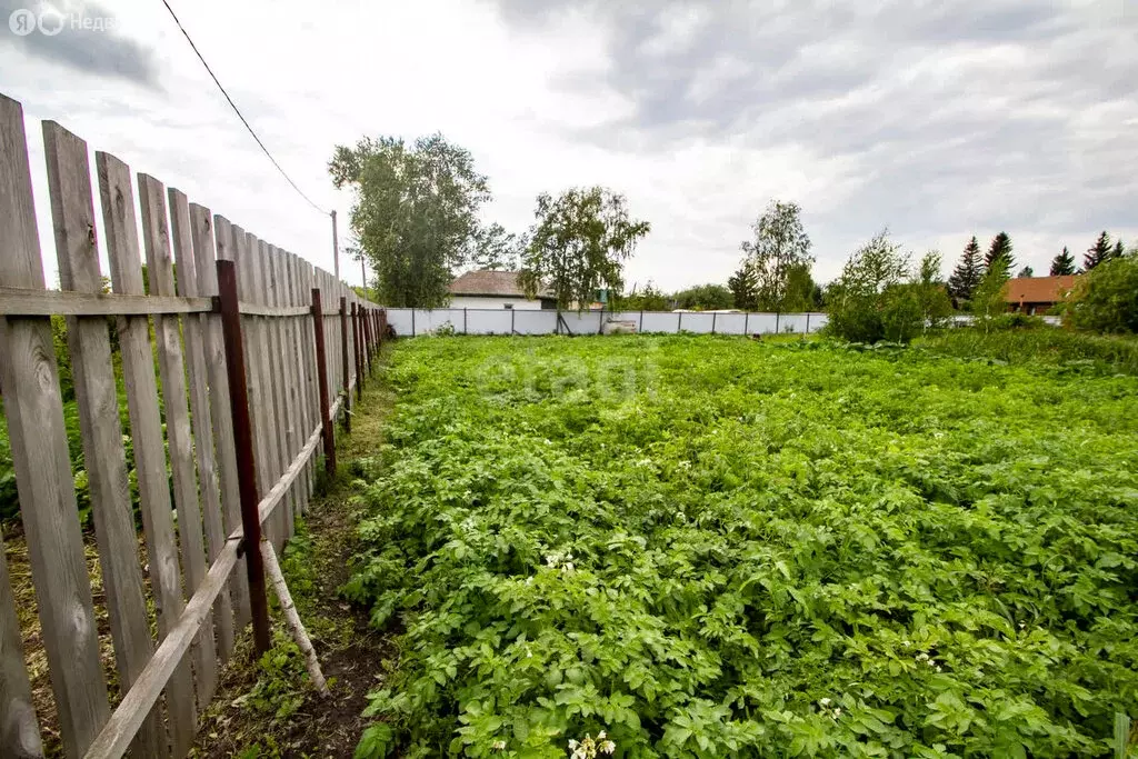 Участок в село Беркут, Садовая улица (18 м) - Фото 1