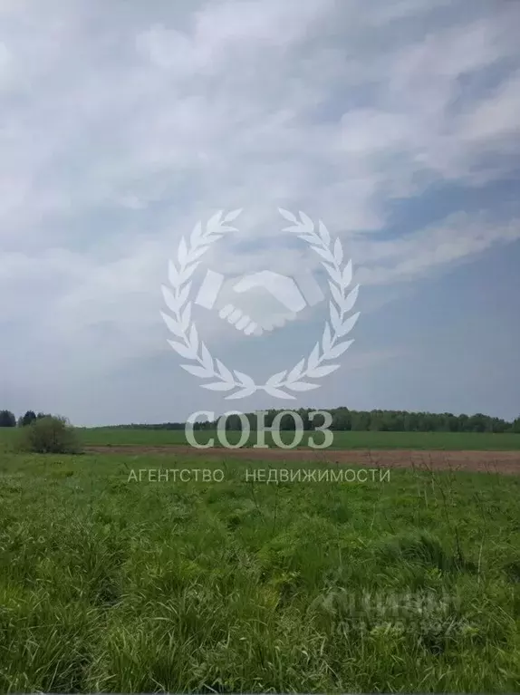 Участок в Калужская область, Боровский муниципальный округ, д. ... - Фото 1