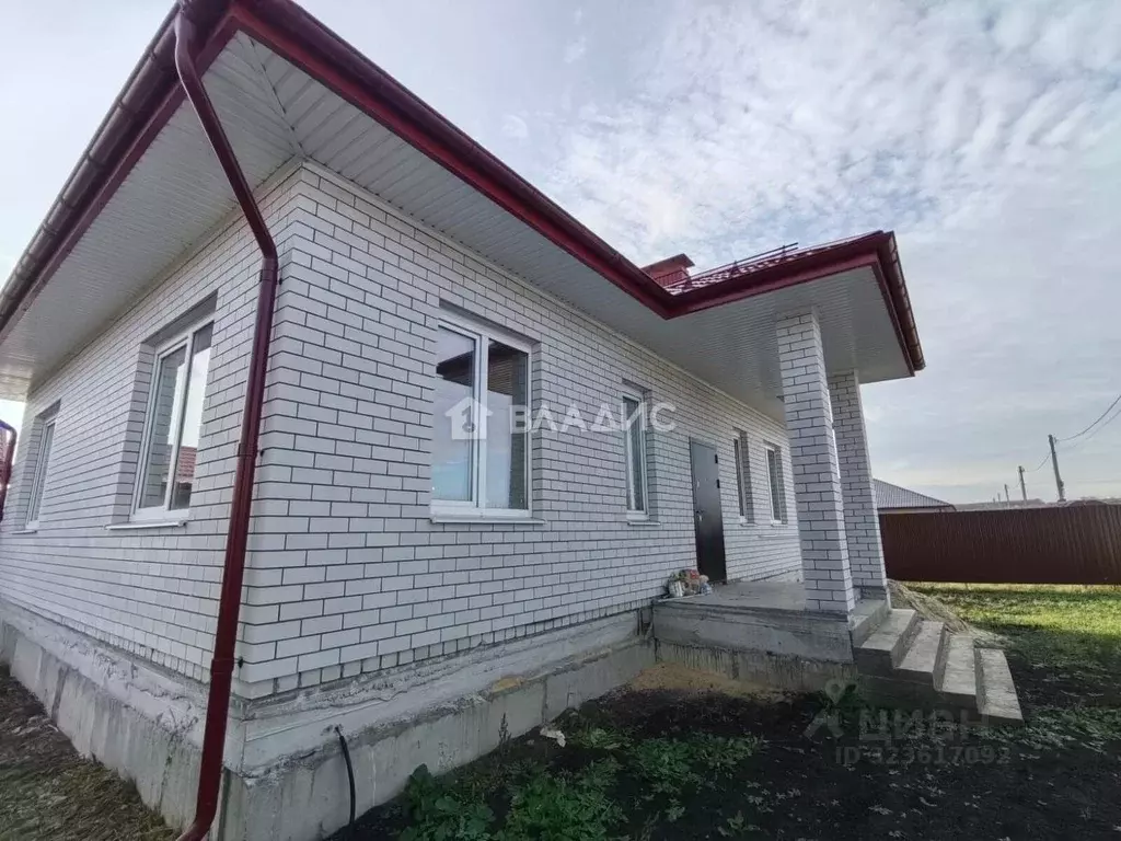 Дом в Воронежская область, Рамонский район, Новоживотинновское с/пос, ... - Фото 1
