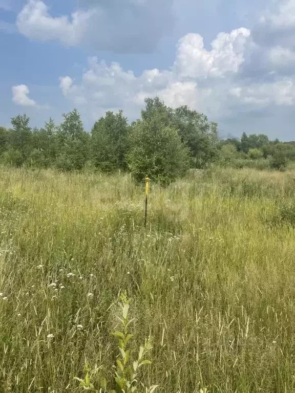Участок в Хабаровский край, Хабаровск Цветочная ул. (15.0 сот.) - Фото 1