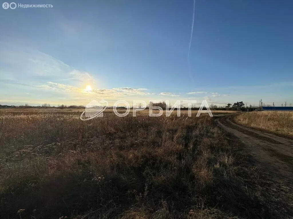 Участок в Тюменский муниципальный округ, деревня Субботина (6.5 м) - Фото 2