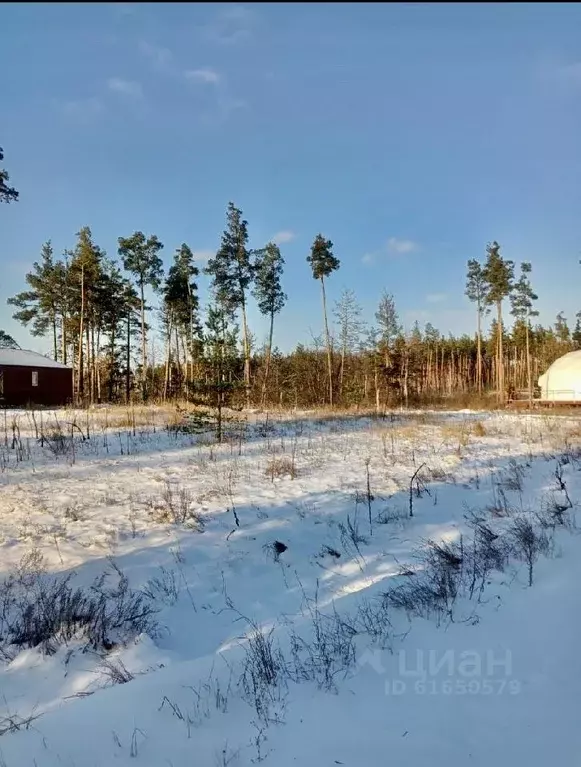 Участок в Воронежская область, Новоусманский район, с. Орлово Школьная ... - Фото 0