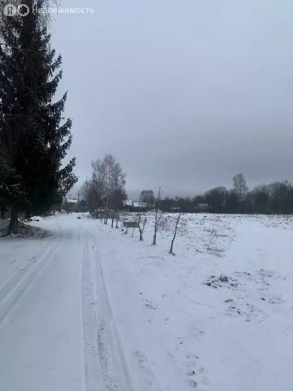 Участок в деревня Таболово, Полевая улица, 17 (25 м) - Фото 2