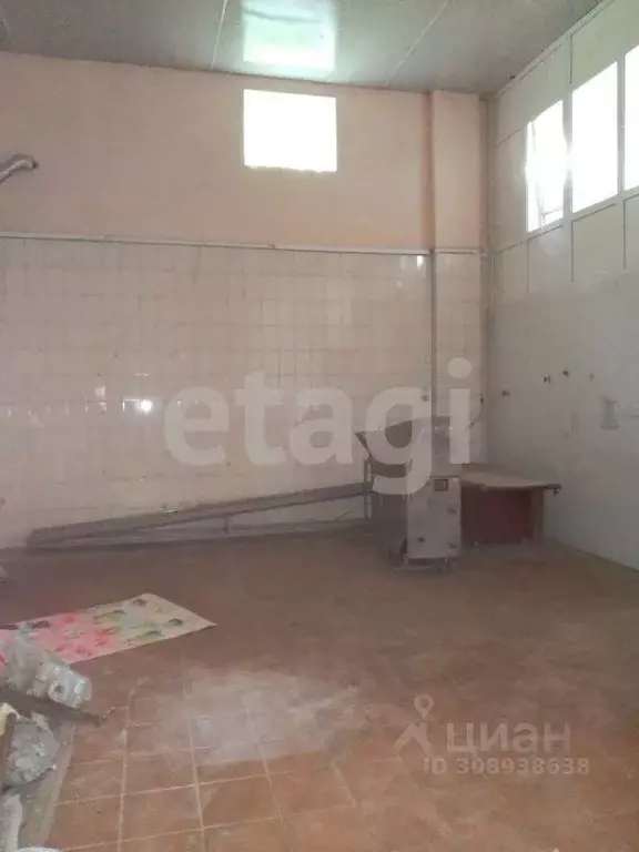 Склад в Брянская область, Погар рп ул. 1-й Квартал (1730 м) - Фото 2