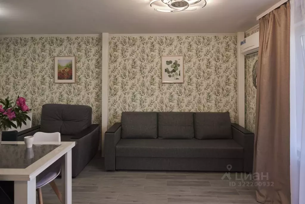 1-к кв. Воронежская область, Рамонь рп ул. Победы, 17Е (30.0 м) - Фото 0
