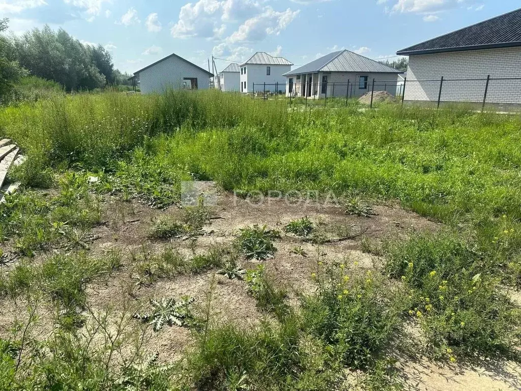 Участок в Алтайский край, Первомайский район, с. Фирсово, Старая Речка ... - Фото 1