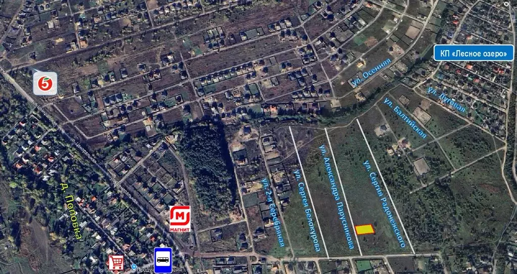 Участок в Московская область, Раменское ул. Александра Парусникова ... - Фото 2