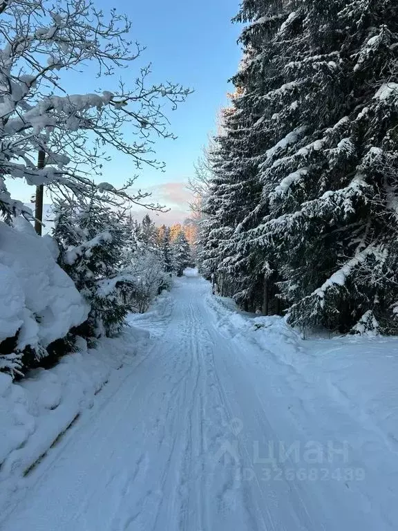 Дом в Ленинградская область, Приозерский район, Сосновское с/пос, ... - Фото 2