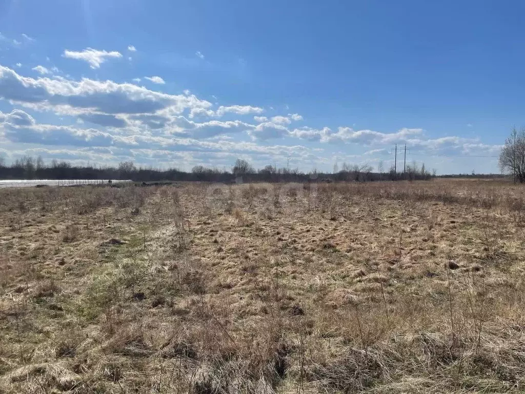 Участок в Псковская область, Псковский район, Логозовская волость, д. ... - Фото 1