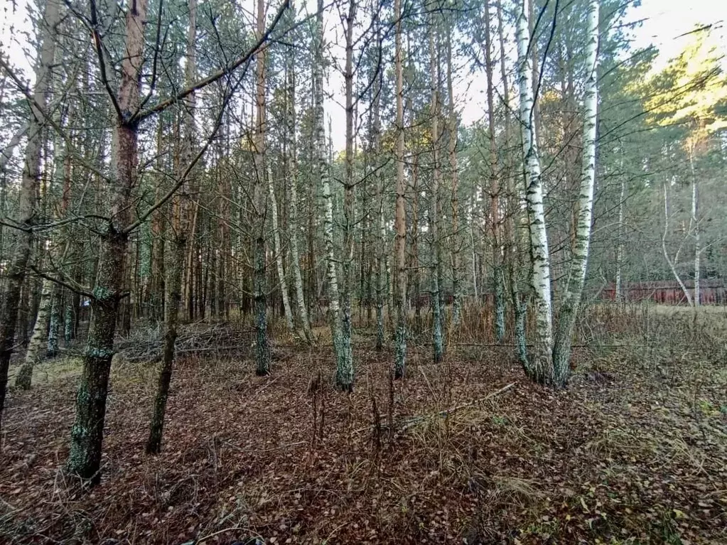 Участок в Владимирская область, Киржачский муниципальный округ, ... - Фото 2