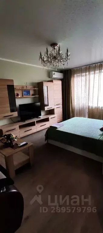 1-к кв. Брянская область, Брянск ул. Братьев Ткачевых, 5 (41.0 м) - Фото 1