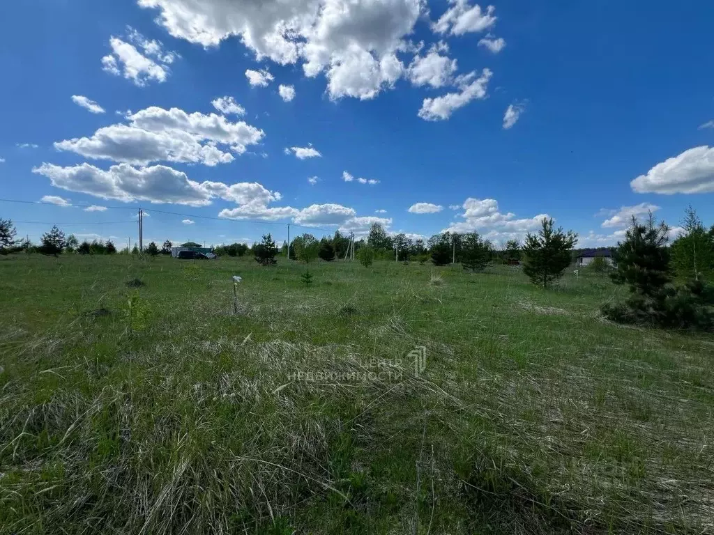 Участок в Татарстан, Зеленодольский район, Большекургузинское с/пос, ... - Фото 2