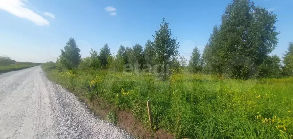Участок 11 сот. (ИЖС) - Фото 1