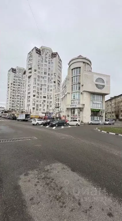 Помещение свободного назначения в Краснодарский край, Новороссийск ул. ... - Фото 1