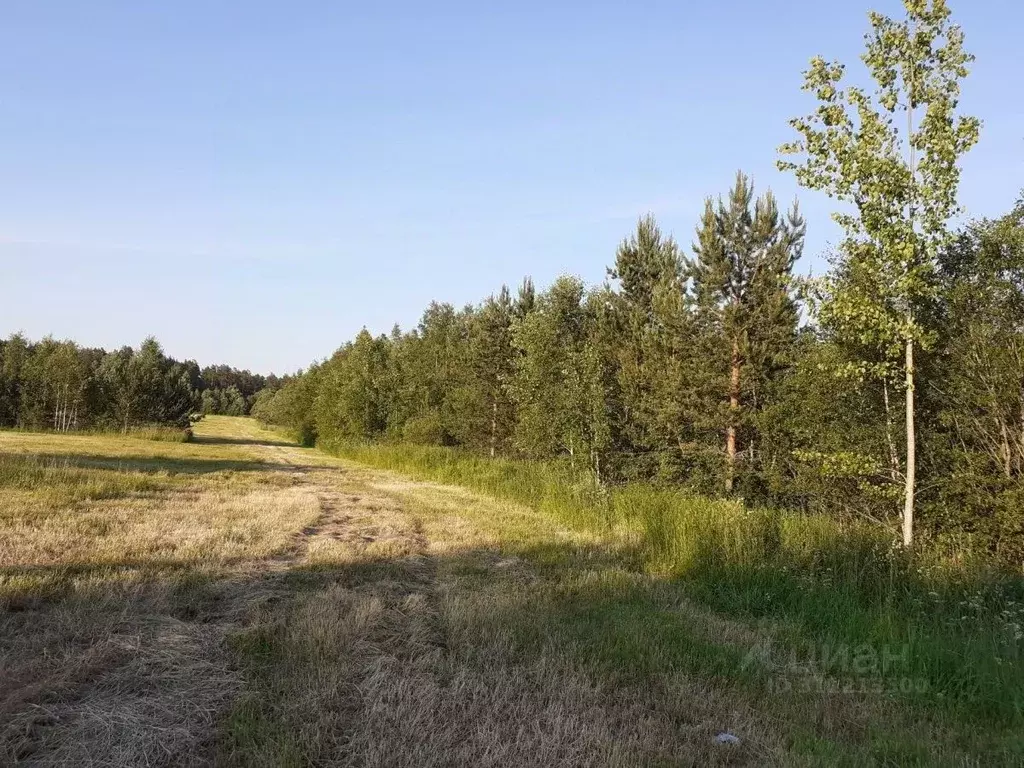 Участок в Ленинградская область, Выборгский район, Красносельское ... - Фото 0