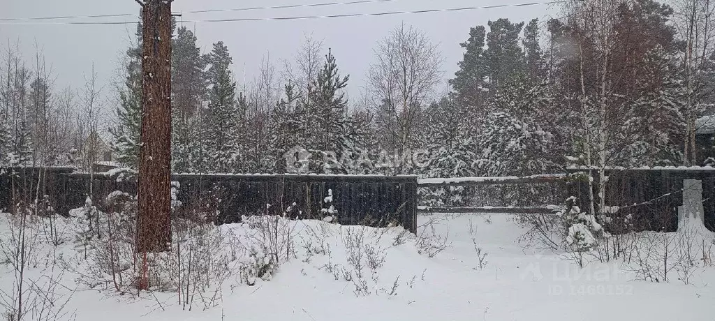 Участок в Бурятия, Баргузинский район, с. Максимиха ул. Гагарина (12.0 ... - Фото 0