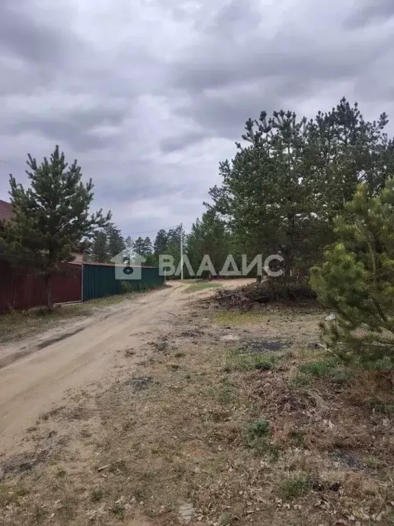 Участок в Забайкальский край, Читинский муниципальный округ, ... - Фото 2