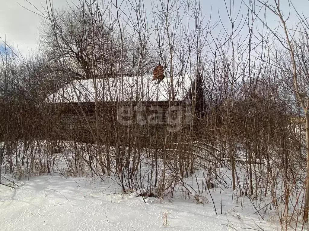 Дом в Мордовия, с. Кочкурово ул. Ленинская, 165 (50 м) - Фото 1
