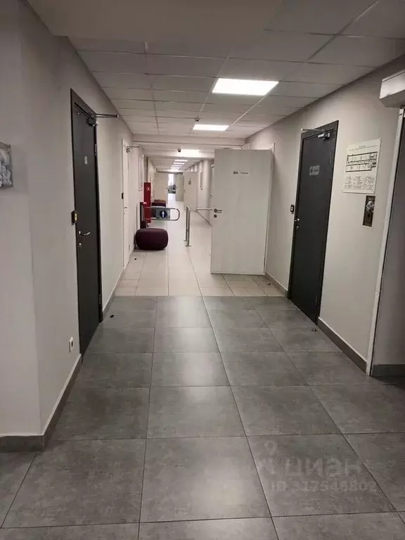 Помещение свободного назначения в Ростовская область, Ростов-на-Дону ... - Фото 1