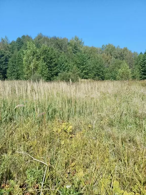 Участок, 10 сот., 0 - Фото 0