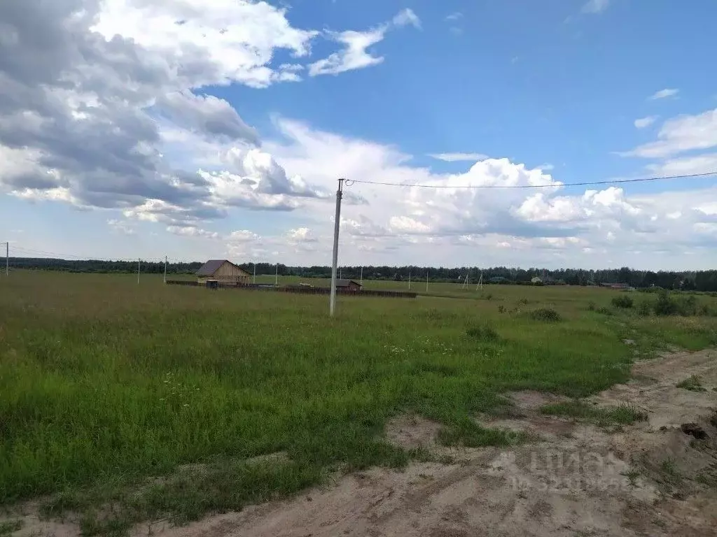 Участок в Тюменская область, Тюменский муниципальный округ, д. Речкина ... - Фото 2