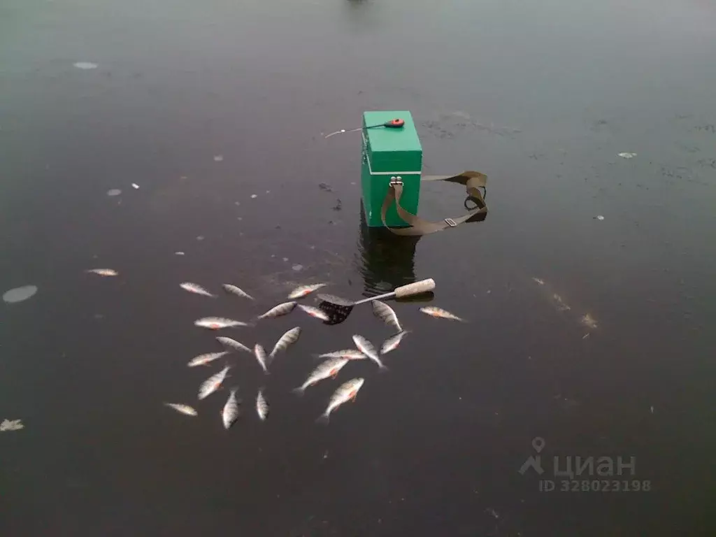 Дом в Московская область, Волоколамский муниципальный округ, Лидия-3 ... - Фото 2