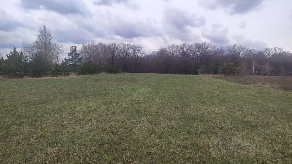 Участок в Белгородская область, Старооскольский городской округ, с. ... - Фото 2