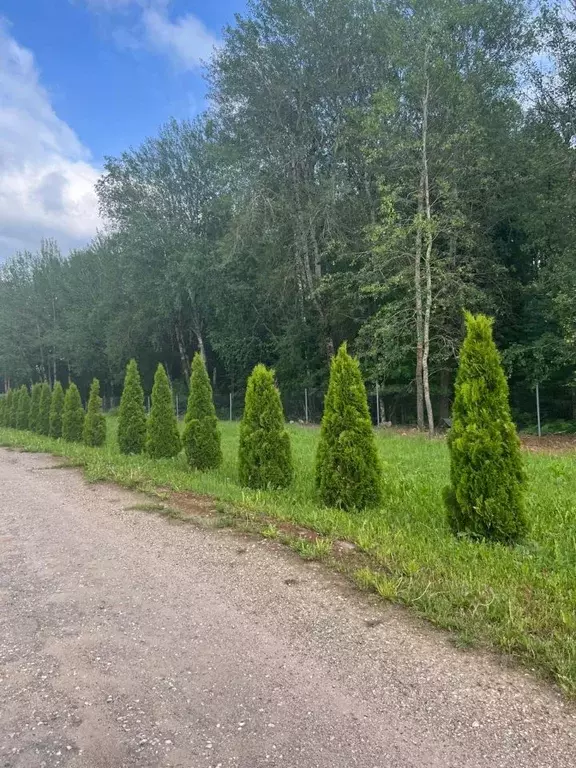 Дом в Московская область, Истра городской округ, Тюльпаново дп 2 (83 ... - Фото 1