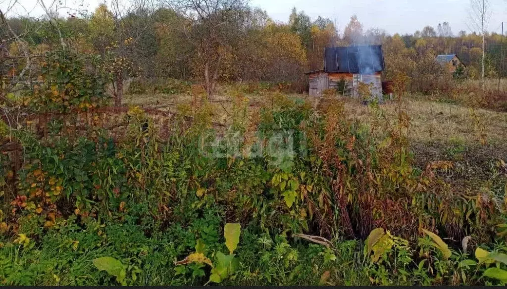 Дом в сельское поселение Сабуровщино, деревня Вишенки (80 м) - Фото 0