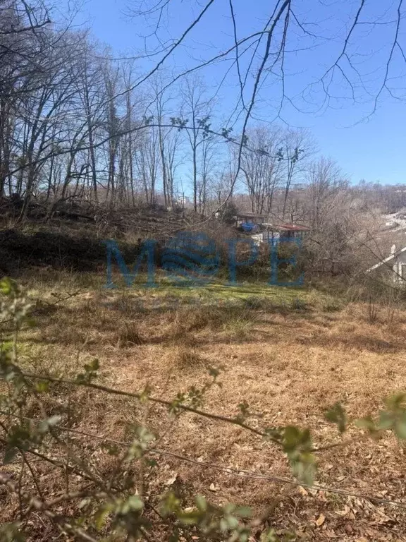 Участок в Краснодарский край, Сочи городской округ, с. Раздольное, ... - Фото 1