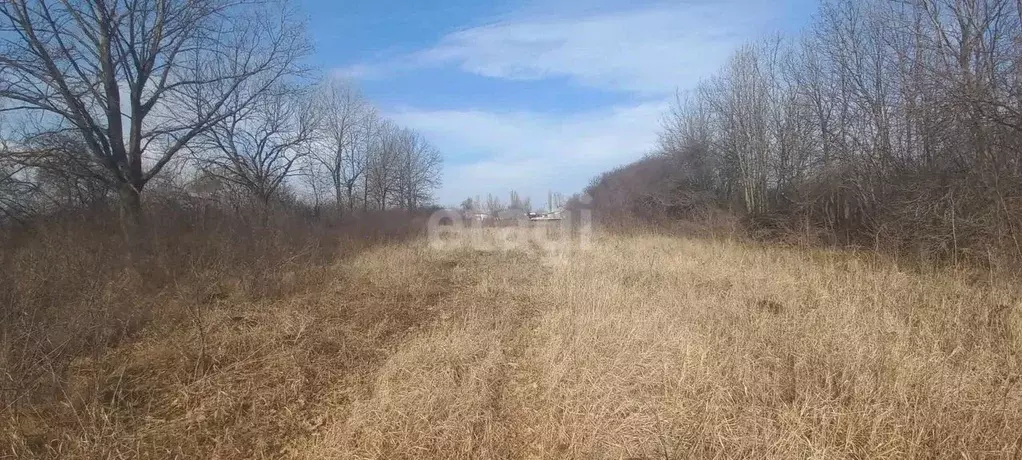 Участок в Белгородская область, Корочанский район, Мелиховское с/пос, ... - Фото 1