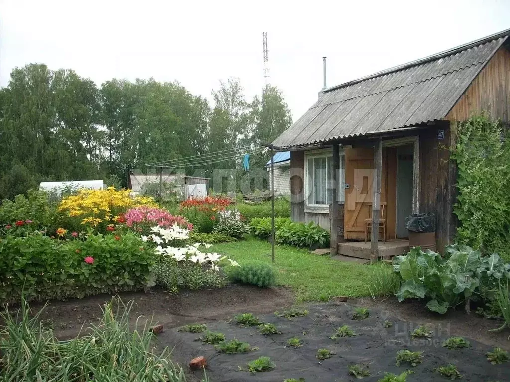 Участок в Томская область, Томск Связист-2 садовое товарищество, 4 ... - Фото 1