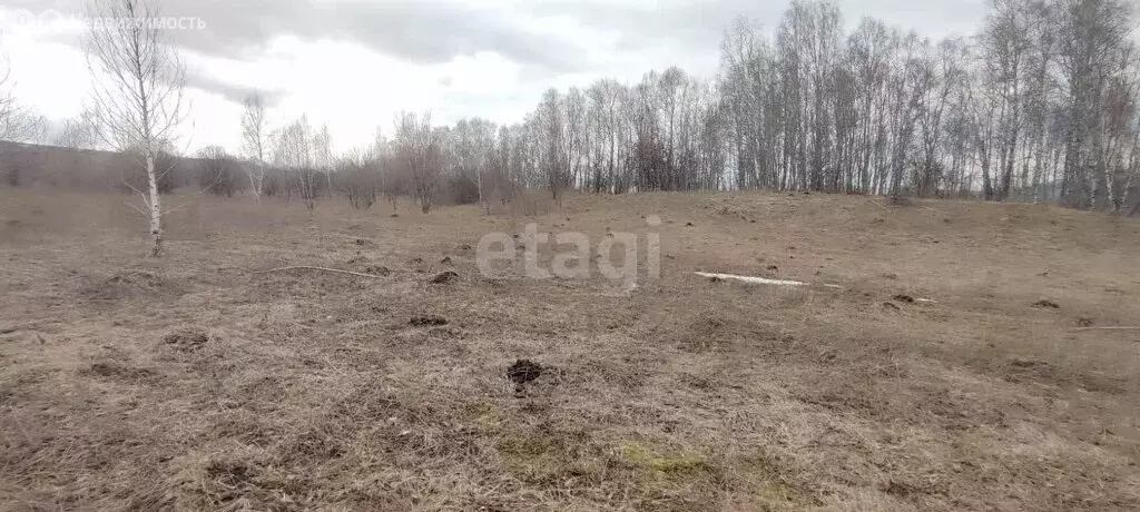 участок в чемальский район, село турбаза катунь (20 м) - Фото 0