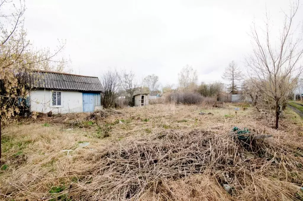 Дом в Ялуторовск, 7-й Дачный проезд (20 м) - Фото 2