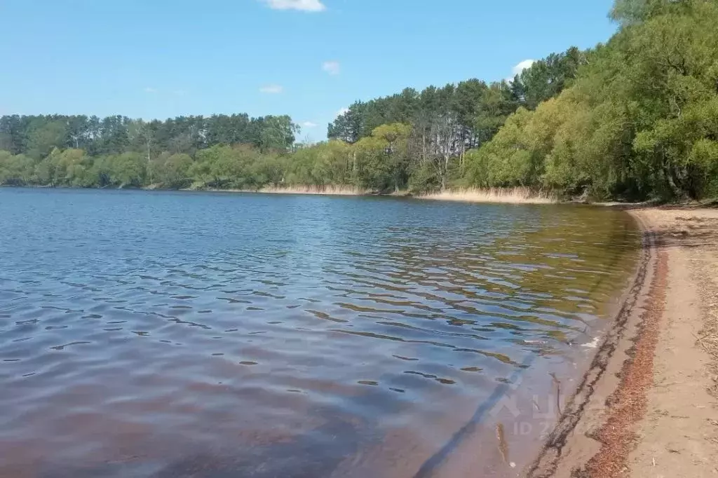 Дом в Московская область, Солнечногорск городской округ, д. Пятница, ... - Фото 1