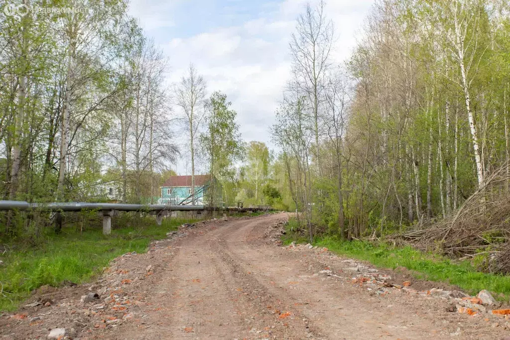 Участок в Тобольск, микрорайон Усадьба, Лесная улица (898 м) - Фото 1