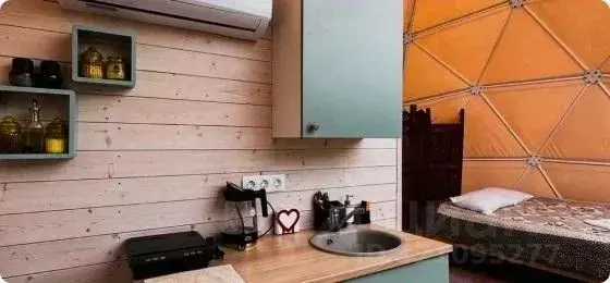 Дом в Самарская область, Жигулевск городской округ, с. Ширяево ул. ... - Фото 1