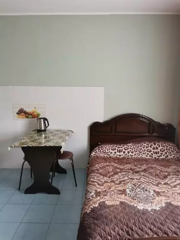 Студия Амурская область, Благовещенск Конная ул., 33 (20.0 м) - Фото 0