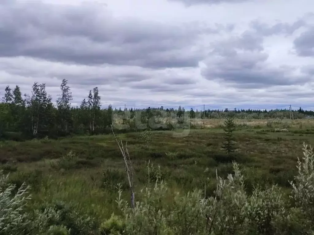 Участок в Ямало-Ненецкий АО, Новый Уренгой  (6.0 сот.) - Фото 1