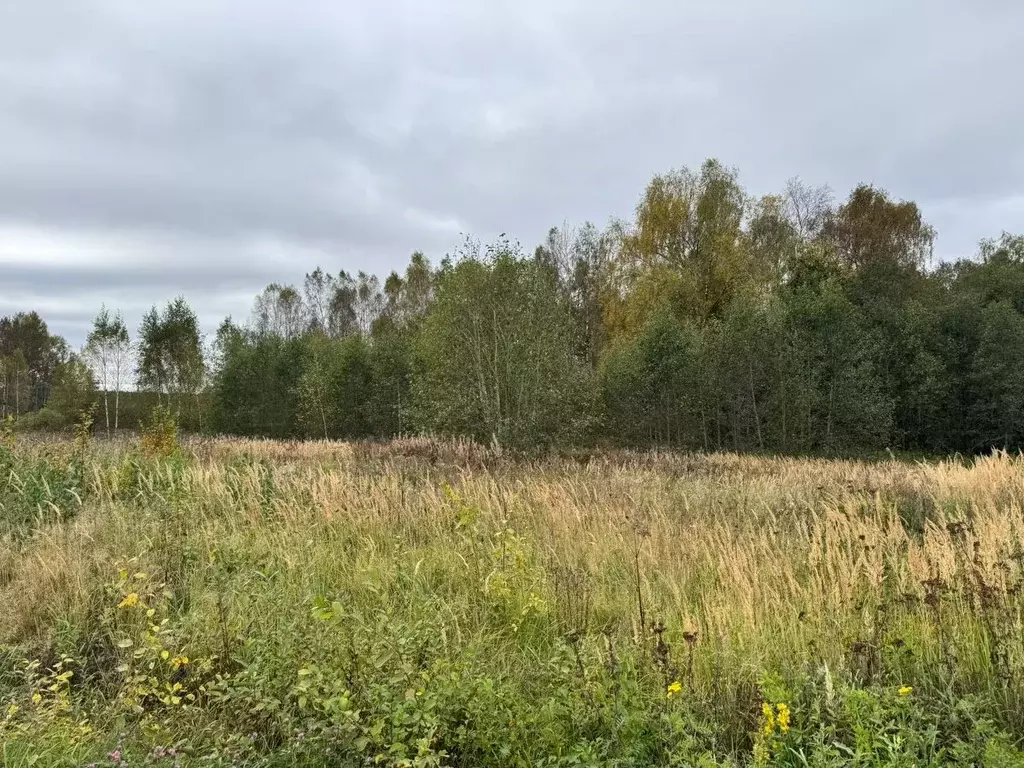 Участок в Московская область, Солнечногорск городской округ, д. Мостки ... - Фото 2