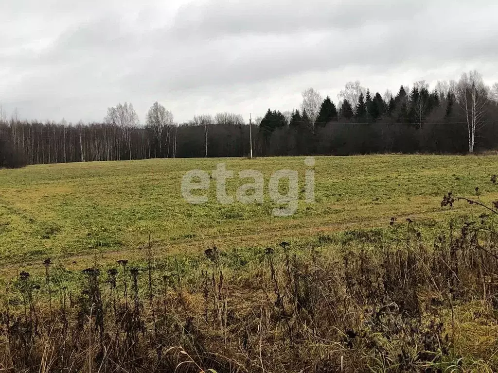 Участок в Костромская область, Красное-на-Волге городское поселение, ... - Фото 0