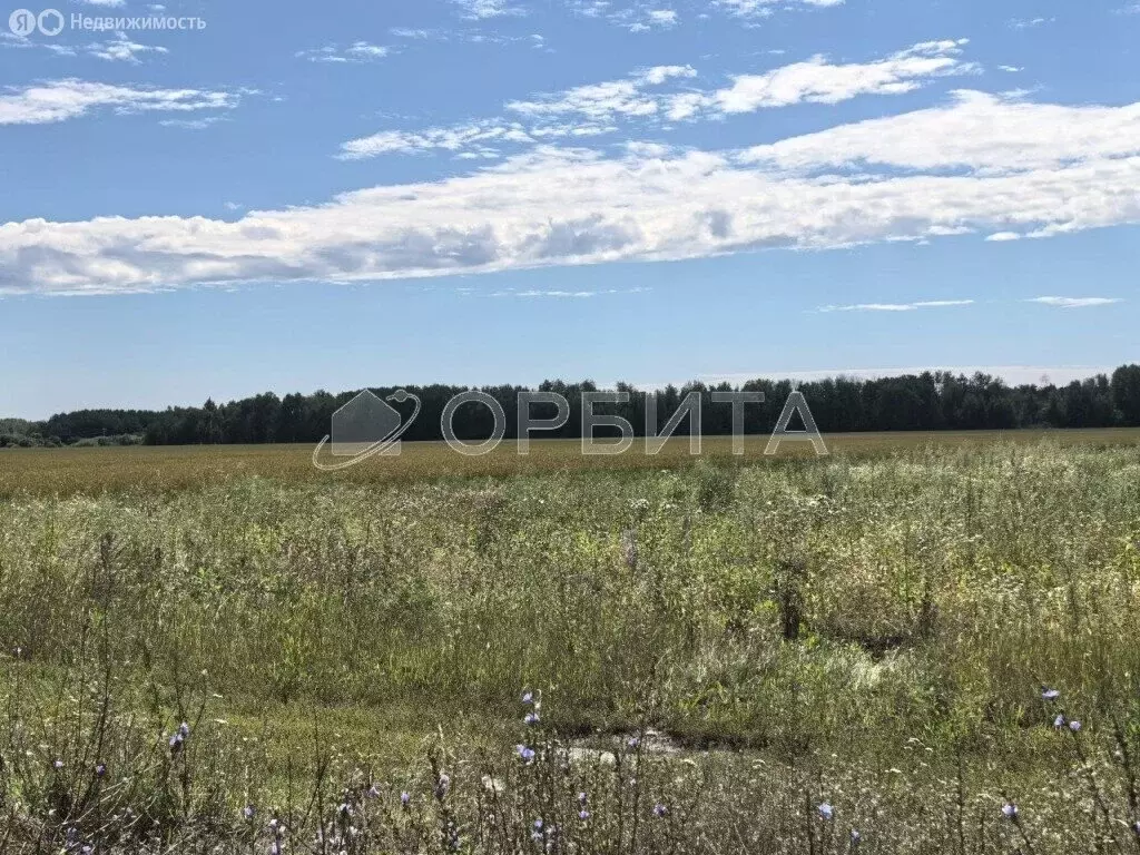 Участок в Тюменский муниципальный округ, Горьковское муниципальное ... - Фото 1